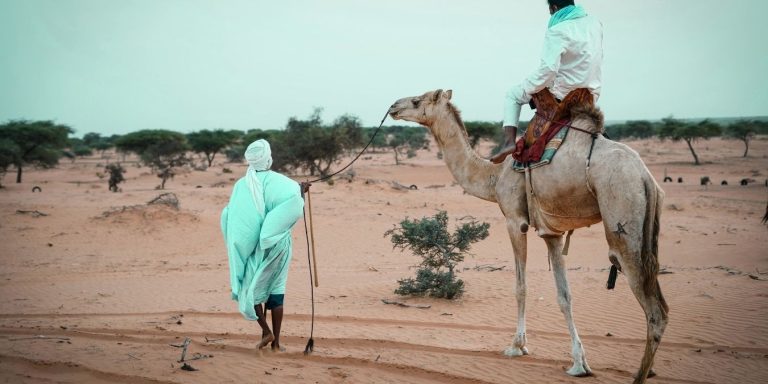 Assurance santé digital nomads : le guide ultime pour voyager l’esprit libre