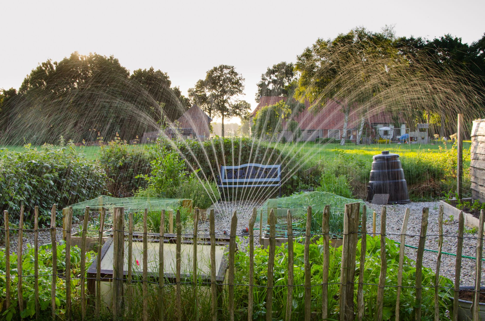 Irrigation : Comment faire face à la sécheresse dans votre jardin ?