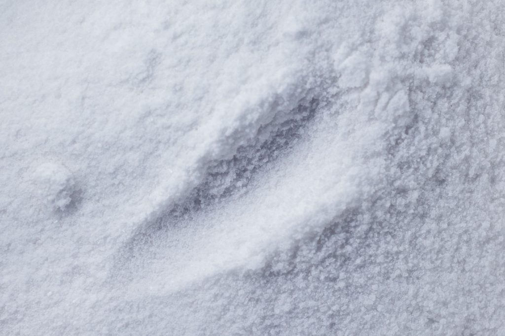 Comment utiliser le Blanc de Meudon pour divers travaux ?