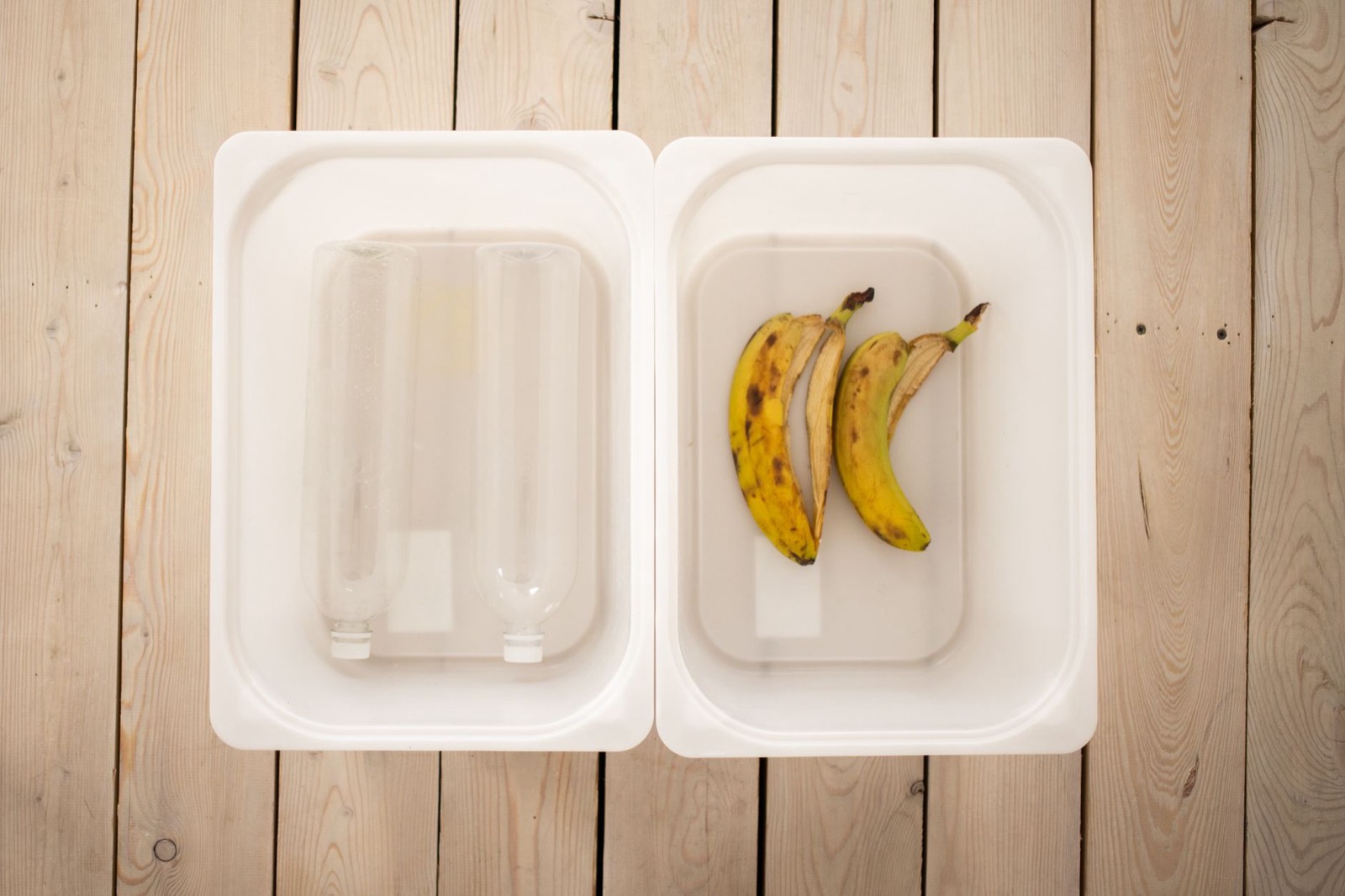 Contenants de tri sélectif dans une cuisine, bacs séparés pour le recyclage