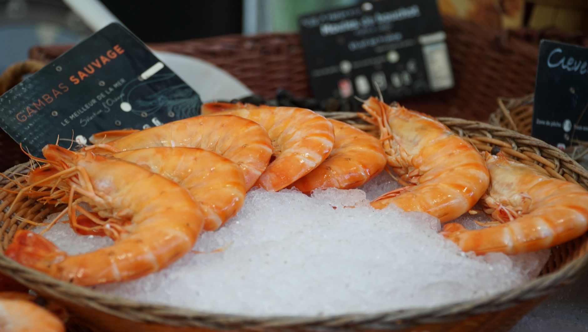 Préparez votre hiver à Dijon : ne laissez pas la salade nordique vous gâcher la saison