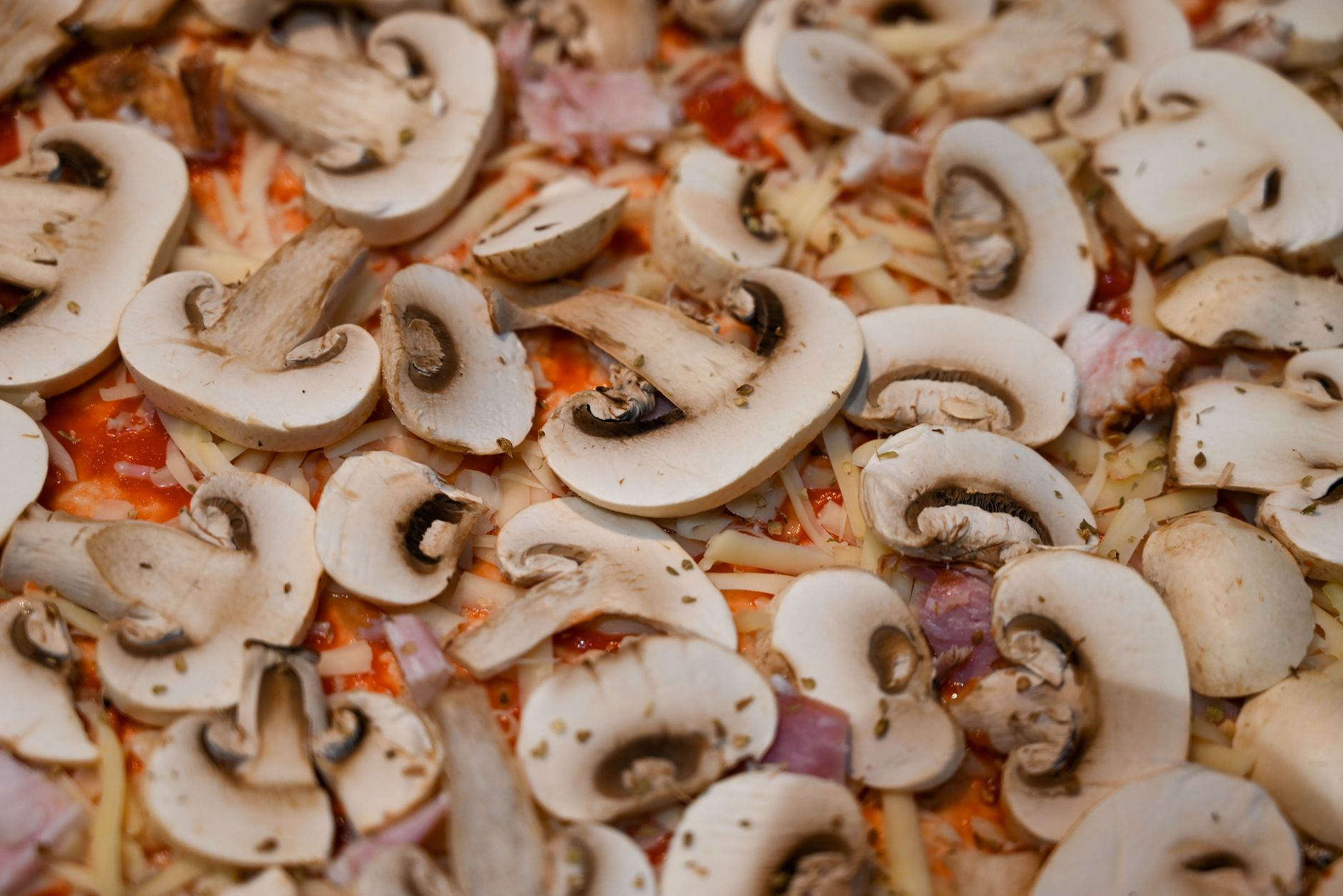 Pourquoi vos champignons d'automne déçoivent-ils souvent en cuisine ?