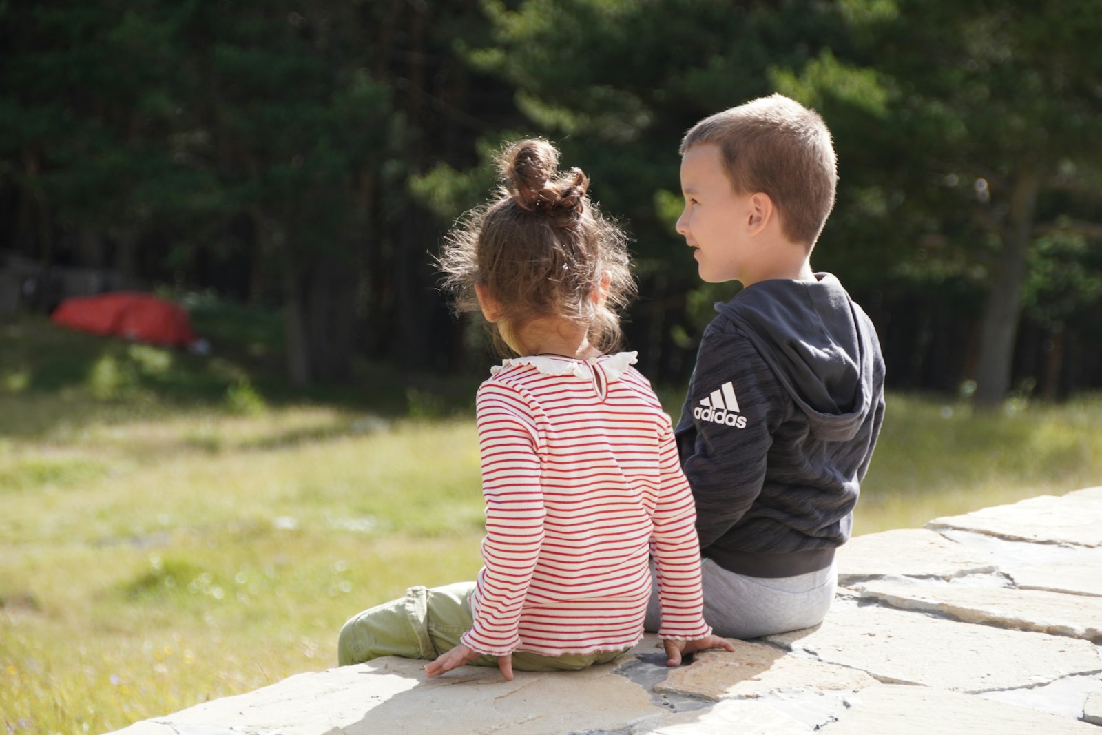 Aidez votre enfant à décrocher un stage d'observation à Dijon : 5 conseils pratiques