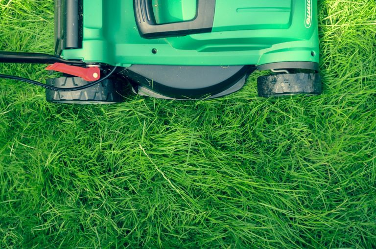 Votre pelouse prête pour l&rsquo;hiver : le geste à ne pas manquer
