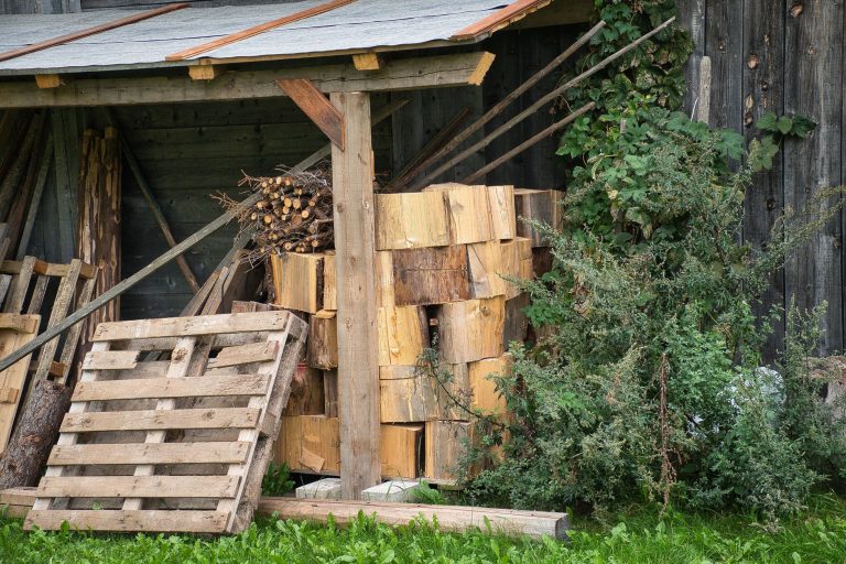 Dès cet automne, l’abri à bois : votre allié contre les week-ends pluvieux