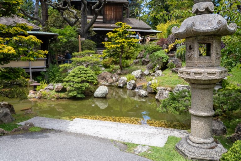 À Dijon, comment votre voix peut changer le nom du jardin japonais agrandi ?