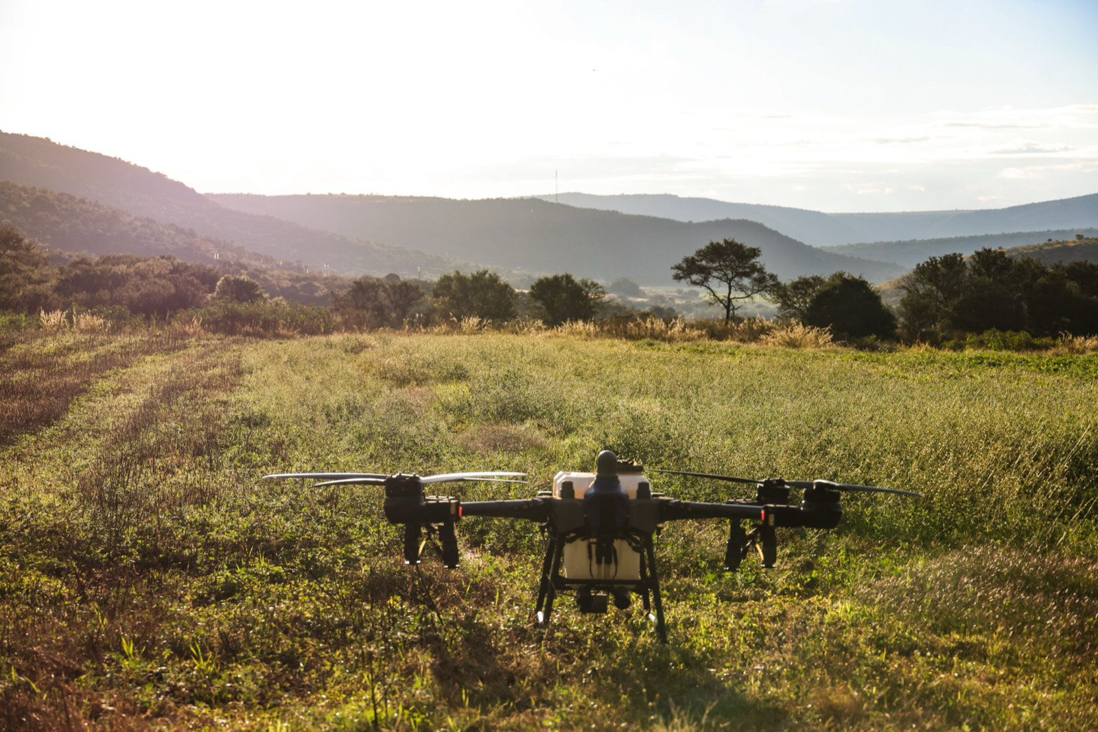 Petit drone personnel posé sur l'herbe avant un vol